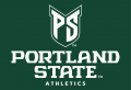 Portland State Vikings 2016-Pres Alt on Dark Logo Print Decal