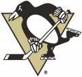 Pittsburgh Penguins 2002 03-2015 16 Primary Logo Iron On Transfer