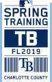 Tampa Bay Rays 2019 Event Logo Print Decal