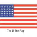 Flag Logo 20 Iron On Transfer