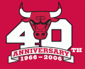 Chicago Bulls 2006 Anniversary Logo Iron On Transfer