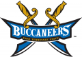 ETSU Buccaneers 2002-2013 Alternate Logo 01 Print Decal