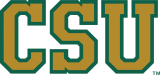 Colorado State Rams 1993-2014 Secondary Logo Iron On Transfer