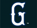 Greenville Drive 2006-Pres Cap Logo Iron On Transfer