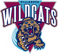 Villanova Wildcats 1996-2003 Primary Logo Print Decal