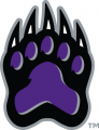 Central Arkansas Bears 2009-Pres Alternate Logo 05 Print Decal