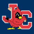 Johnson City Cardinals 1995-Pres Cap Logo Print Decal