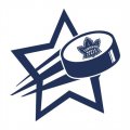 Toronto Maple Leafs Hockey Goal Star logo Print Decal