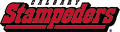 Calgary Stampeders 2000-2011 Wordmark Logo Iron On Transfer