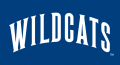 Villanova Wildcats 1996-Pres Wordmark Logo Print Decal