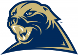 Pittsburgh Panthers 2002-2015 Alternate Logo 01 Print Decal