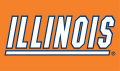 Illinois Fighting Illini 1989-2013 Wordmark Logo 03 Iron On Transfer