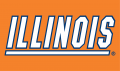 Illinois Fighting Illini 1989-2013 Wordmark Logo 03 Print Decal