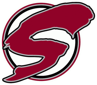 Guelph Storm 1997 98-2006 07 Alternate Logo Iron On Transfer