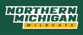 Northern Michigan Wildcats 2016-Pres Wordmark Logo Print Decal