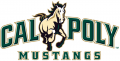 Cal Poly Mustangs 2007-Pres Primary Logo Iron On Transfer