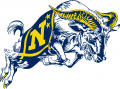 Navy Midshipmen 1998-Pres Secondary Logo Print Decal