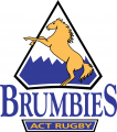 Brumbies 1996-2004 Primary Logo Print Decal