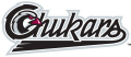 Idaho Falls Chukars 2004-Pres Wordmark Logo Iron On Transfer