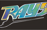 Tampa Bay Rays 1999 Special Event Logo Iron On Transfer