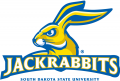 South Dakota State Jackrabbits 2008-Pres Alternate Logo Iron On Transfer