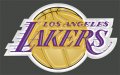 Los Angeles Lakers Plastic Effect Logo Print Decal