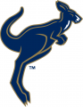 Akron Zips 2002-2007 Alternate Logo Print Decal