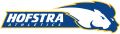 Hofstra Pride 2005-Pres Alternate Logo Iron On Transfer