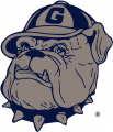 Georgetown Hoyas 1978-1995 Primary Logo Iron On Transfer