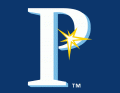 Princeton Rays 2009-Pres Cap Logo Print Decal