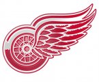 Detroit Red Wings Plastic Effect Logo Iron On Transfer