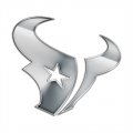 Houston Texans Silver Logo Print Decal