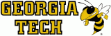 Georgia Tech Yellow Jackets 1991-Pres Wordmark Logo Print Decal