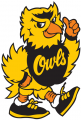 Kennesaw State Owls 1992-2011 Mascot Logo Print Decal
