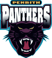 Penrith Panthers 1998-2012 Primary Logo Print Decal