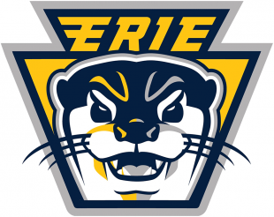 Erie Otters 2019 20-Pres Alternate Logo Iron On Transfer