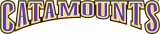 Western Carolina Catamounts 1996-2007 Wordmark Logo 03 Iron On Transfer