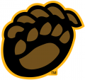 Baylor Bears 2005-2018 Alternate Logo 02 Iron On Transfer