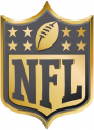 National Football League 2015 Anniversary Logo Iron On Transfer