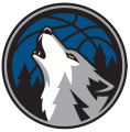 Minnesota Timberwolves 2008-2016 Alternate Logo Print Decal