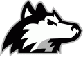 Northern Illinois Huskies 2001-Pres Alternate Logo 02 Print Decal