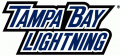 Tampa Bay Lightning 2010 11 Wordmark Logo Print Decal
