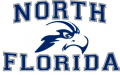 UNF Ospreys 2010-2013 Primary Logo Print Decal