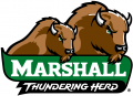 Marshall Thundering Herd 2001-Pres Alternate Logo 10 Iron On Transfer