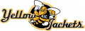 AIC Yellow Jackets 2009-Pres Alternate Logo 03 Print Decal