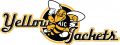 AIC Yellow Jackets 2009-Pres Alternate Logo 03 Iron On Transfer