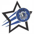 Dallas Mavericks Basketball Goal Star logo Iron On Transfer
