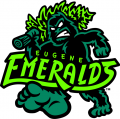Eugene Emeralds 2013-Pres Primary Logo Iron On Transfer