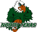 North Texas Mean Green 2003-2004 Alternate Logo Iron On Transfer