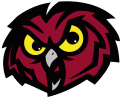 Temple Owls 1996-Pres Alternate Logo Iron On Transfer